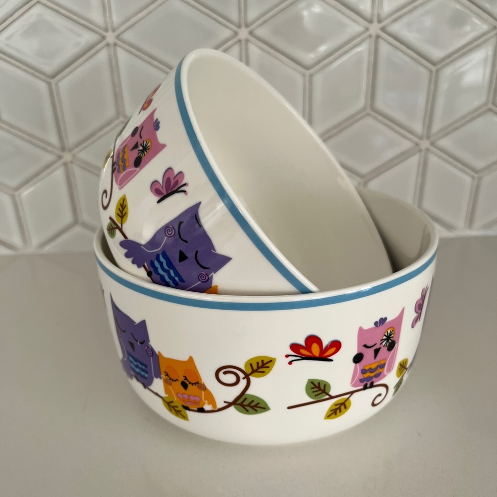 CIROA Set of 2 Bowls Owl Butterfly Design Fine Porcelain  Enchanted Forest